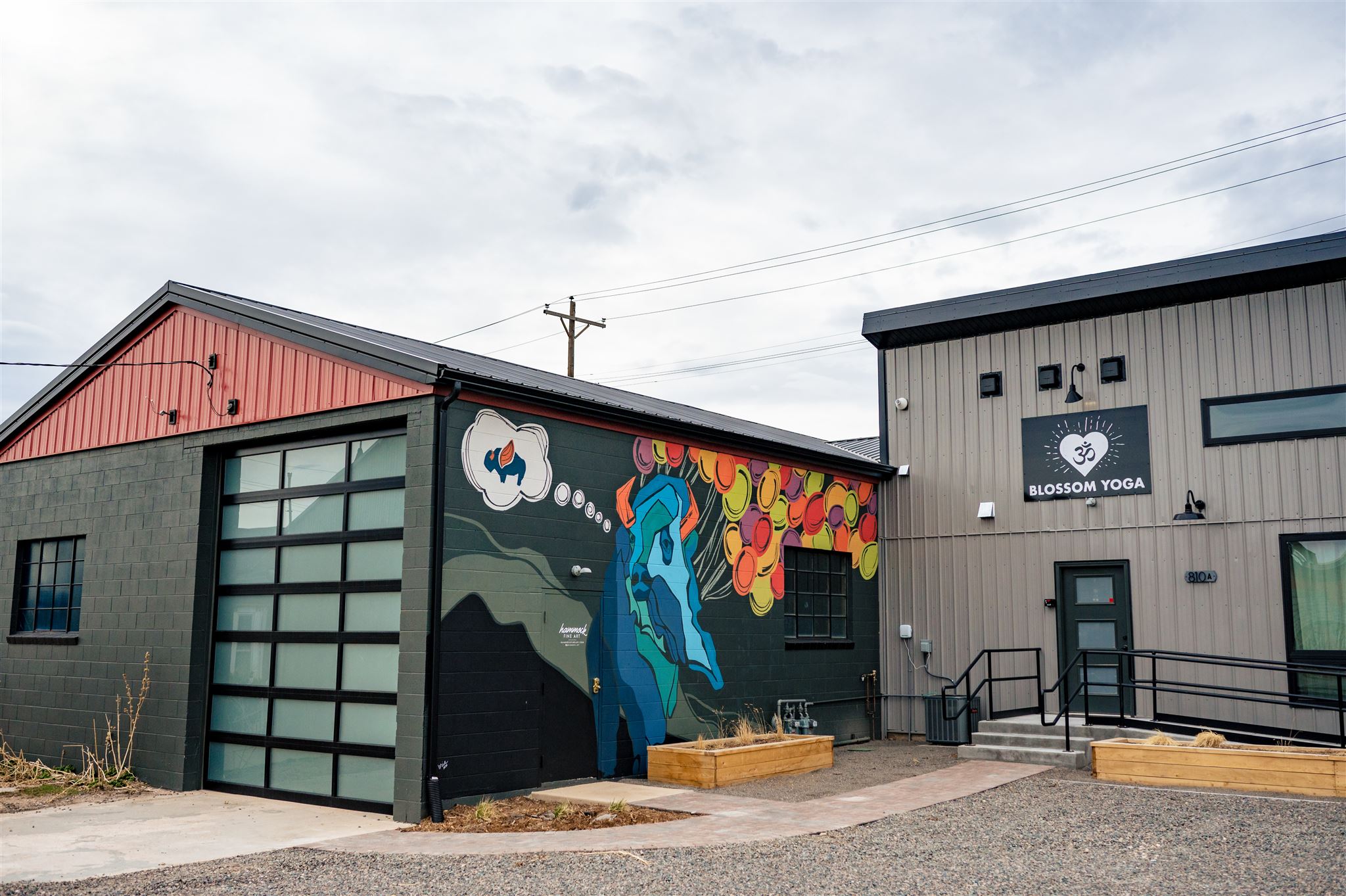 Blossom Yoga and Hammock Fine Art at the Old Cheyenne Elevator